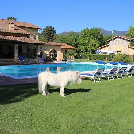 Podere San Paolo Сан Джулиано Терме Екстериор снимка
